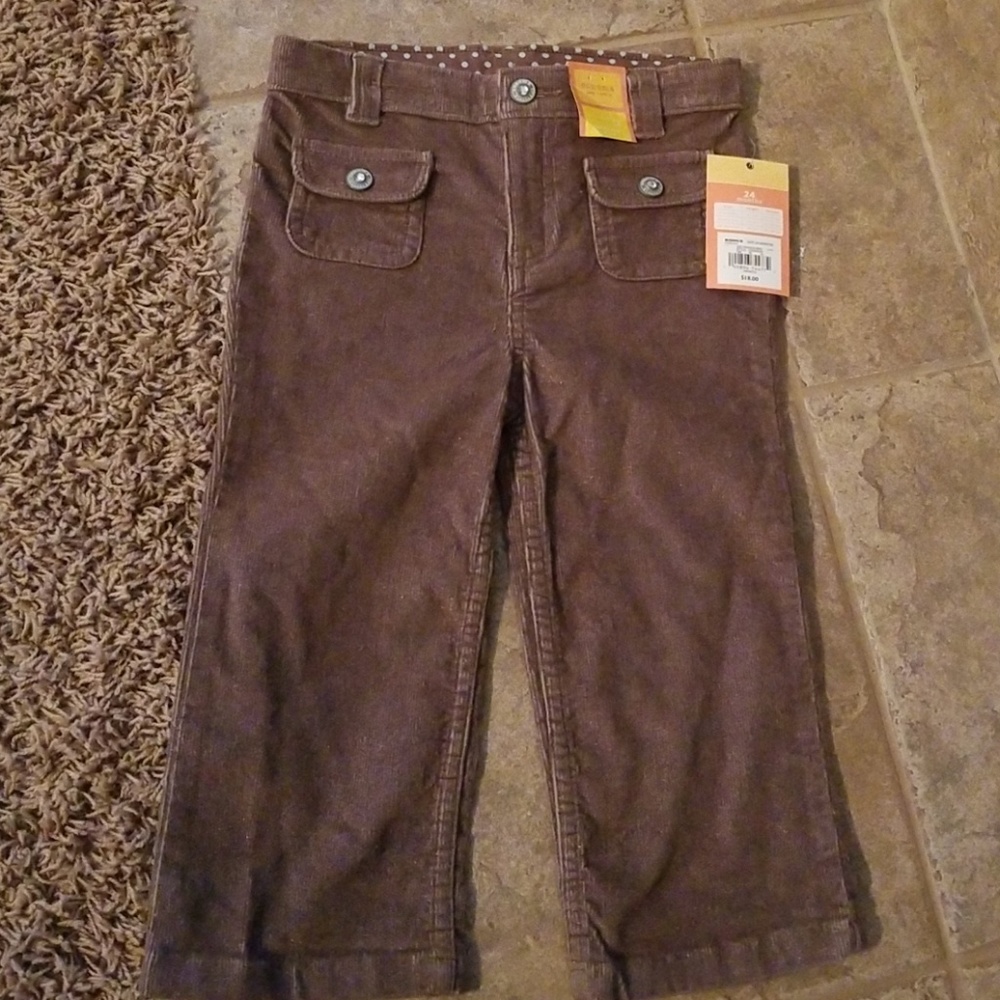 Sonoma brown sparkle corduroy pants